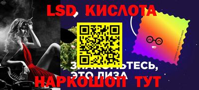 винт Сланцы